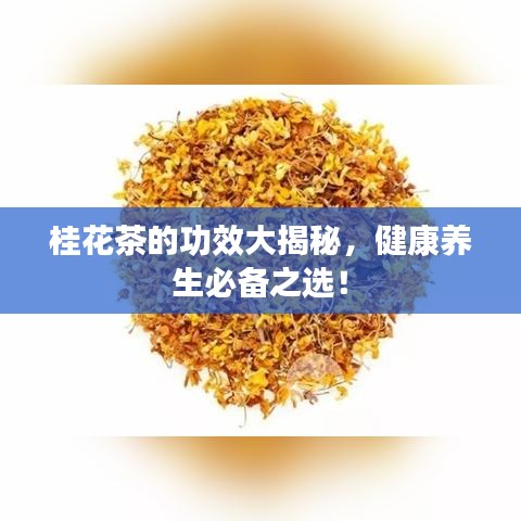 桂花茶的功效大揭秘，健康养生必备之选！