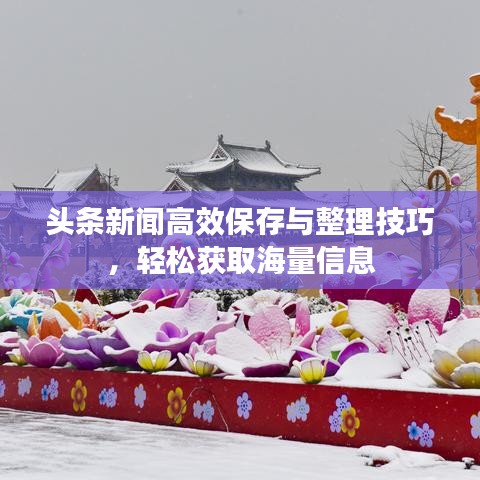 头条新闻高效保存与整理技巧，轻松获取海量信息