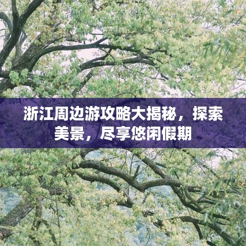 浙江周边游攻略大揭秘，探索美景，尽享悠闲假期