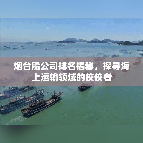 烟台船公司排名揭秘,探寻海上运输领域的佼佼者