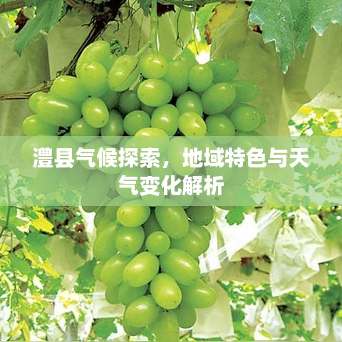 澧县气候探索，地域特色与天气变化解析