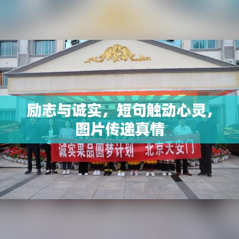 励志与诚实，短句触动心灵，图片传递真情