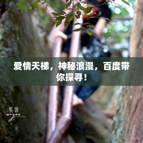 爱情天梯，神秘浪漫，百度带你探寻！