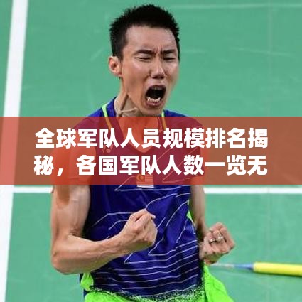 全球军队人员规模排名揭秘,各国军队人数一览无余