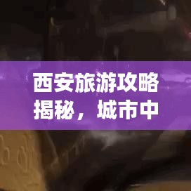 西安旅游攻略揭秘，城市中的看海探秘之旅