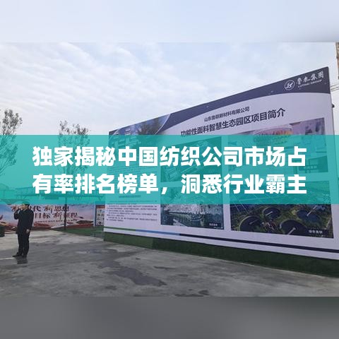 独家揭秘中国纺织公司市场占有率排名榜单，洞悉行业霸主及发展趋势！