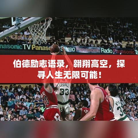 伯德励志语录，翱翔高空，探寻人生无限可能！