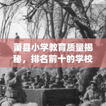 萧县小学教育质量揭秘，排名前十的学校有哪些过人之处？