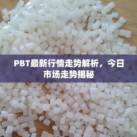 PBT最新行情走势解析，今日市场走势揭秘
