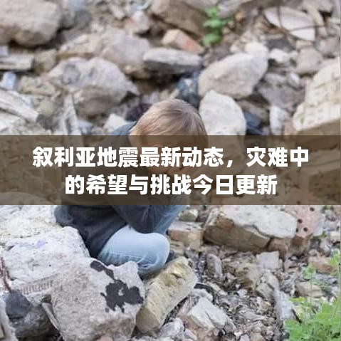 叙利亚地震最新动态，灾难中的希望与挑战今日更新