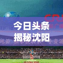 威风凛凛 第8页