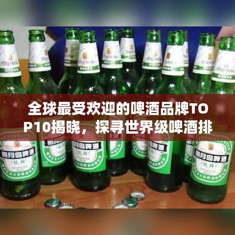 全球最受欢迎的啤酒品牌TOP10揭晓，探寻世界级啤酒排名榜单