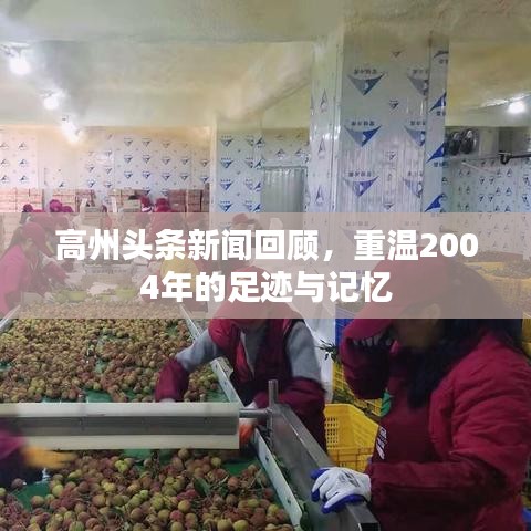 高州头条新闻回顾，重温2004年的足迹与记忆
