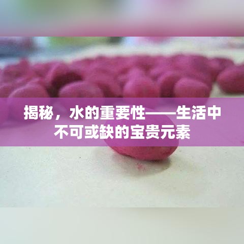 揭秘，水的重要性——生活中不可或缺的宝贵元素
