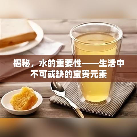 揭秘,水的重要性——生活中不可或缺的宝贵元素
