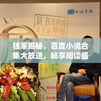 独家揭秘，百度小说合集大放送，畅享阅读盛宴！