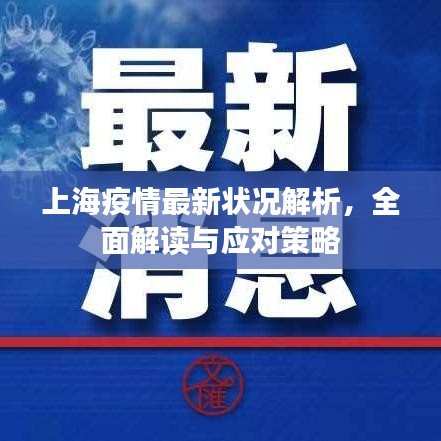 上海疫情最新状况解析，全面解读与应对策略
