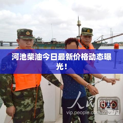 河池柴油今日最新价格动态曝光！