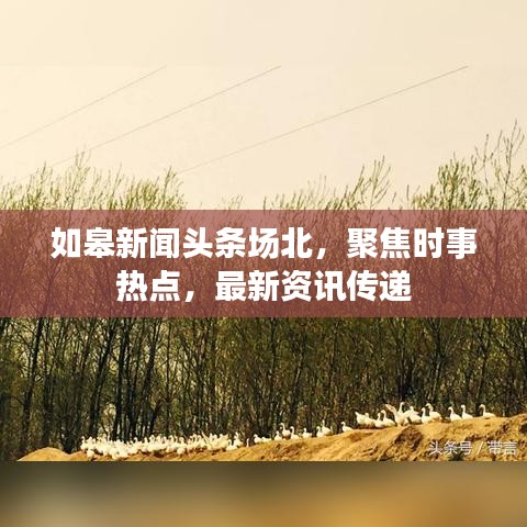 如皋新闻头条场北，聚焦时事热点，最新资讯传递