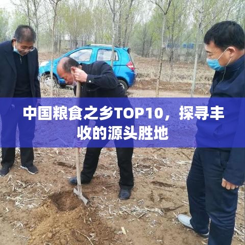 中国粮食之乡TOP10，探寻丰收的源头胜地