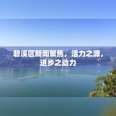 碧溪区新闻聚焦,活力之源,进步之动力