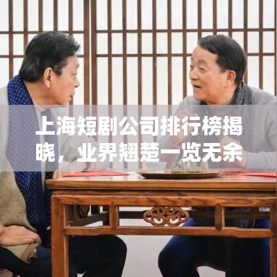 上海短剧公司排行榜揭晓，业界翘楚一览无余！