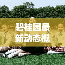 碧桂园最新动态概览，今日头条新闻报道发展更新