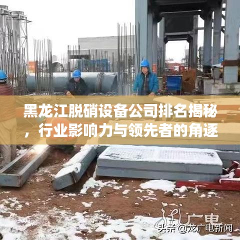 黑龙江脱硝设备公司排名揭秘,行业影响力与领先者的角逐