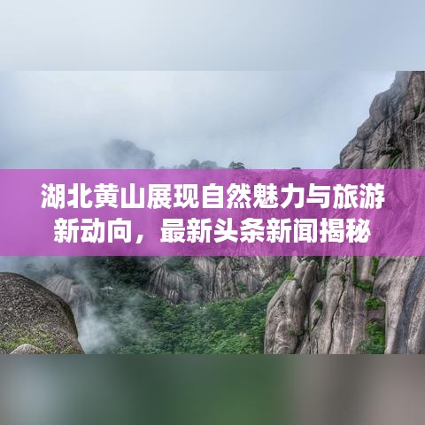 湖北黄山展现自然魅力与旅游新动向,最新头条新闻揭秘