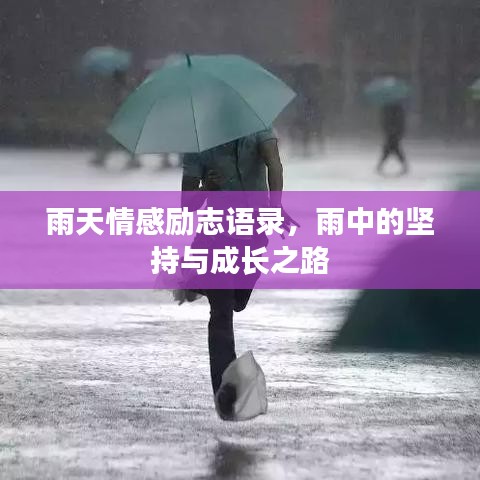雨天情感励志语录，雨中的坚持与成长之路