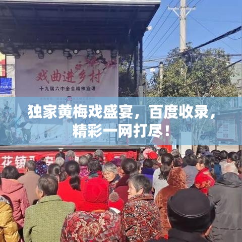 独家黄梅戏盛宴，百度收录，精彩一网打尽！
