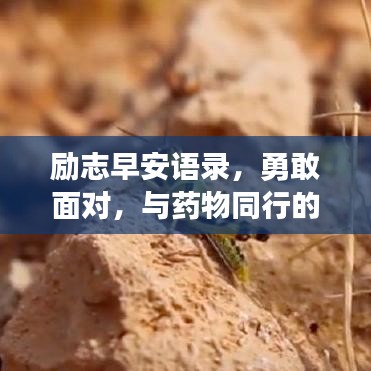 励志早安语录,勇敢面对,与药物同行的新开始图片集