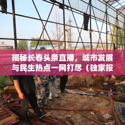 揭秘长春头条直播，城市发展与民生热点一网打尽（独家报道）