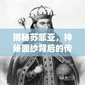 揭秘苏菲亚，神秘面纱背后的传奇故事探寻