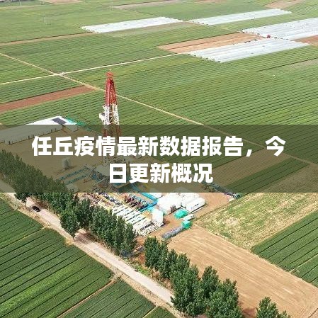 任丘疫情最新数据报告，今日更新概况
