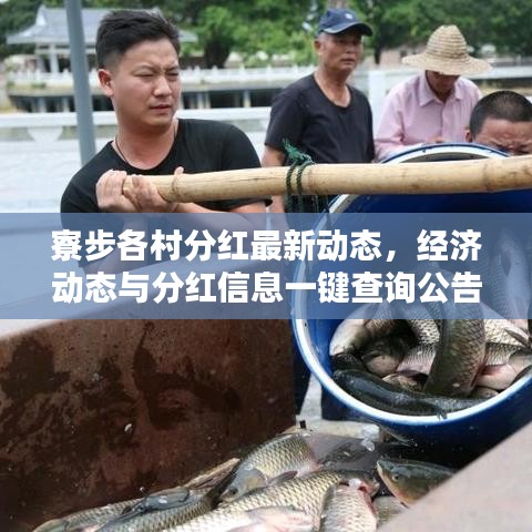 寮步各村分红最新动态，经济动态与分红信息一键查询公告公告！