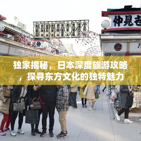 独家揭秘，日本深度旅游攻略，探寻东方文化的独特魅力