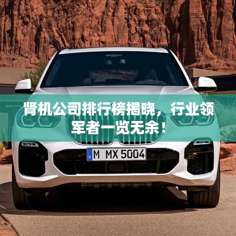 肾机公司排行榜揭晓，行业领军者一览无余！