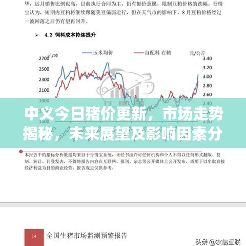 中义今日猪价更新,市场走势揭秘,未来展望及影响因素分析