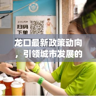 龙口最新政策动向，引领城市发展的战略揭秘