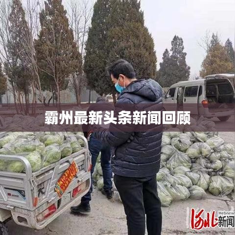 霸州最新头条新闻回顾