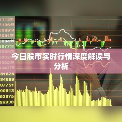 今日股市实时行情深度解读与分析