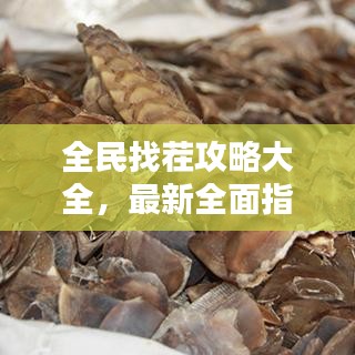 全民找茬攻略大全，最新全面指南，助你轻松通关！