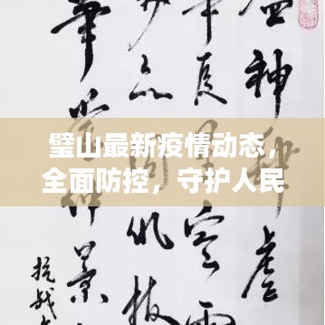 璧山最新疫情动态，全面防控，守护人民健康安全