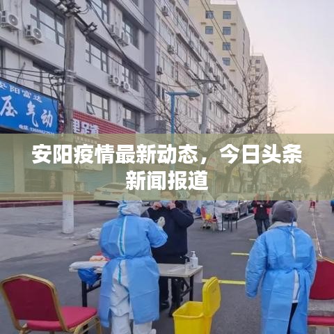 安阳疫情最新动态,今日头条新闻报道