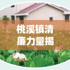 桃溪镇清廉力量揭秘，新闻头条带你领略清廉风采与最新动态