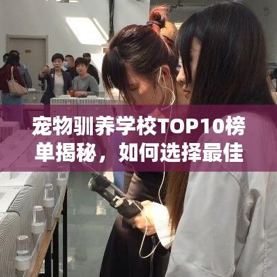 宠物驯养学校TOP10榜单揭秘，如何选择最佳学校为爱宠提供卓越教育