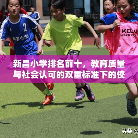 新昌小学排名前十，教育质量与社会认可的双重标准下的佼佼者