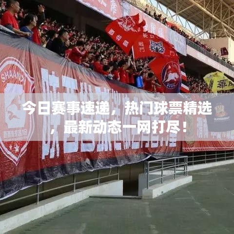 今日赛事速递,热门球票精选,最新动态一网打尽!