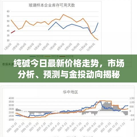 纯碱今日最新价格走势,市场分析、预测与金投动向揭秘